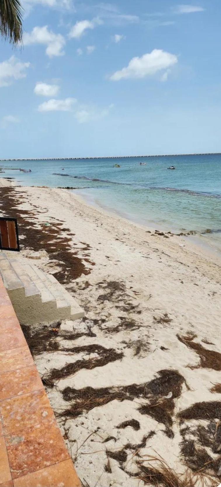 Condominios Orca Progreso  Esterno foto